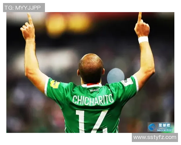 足球明星埃尔文德斯的传奇旅程与辉煌成就揭秘