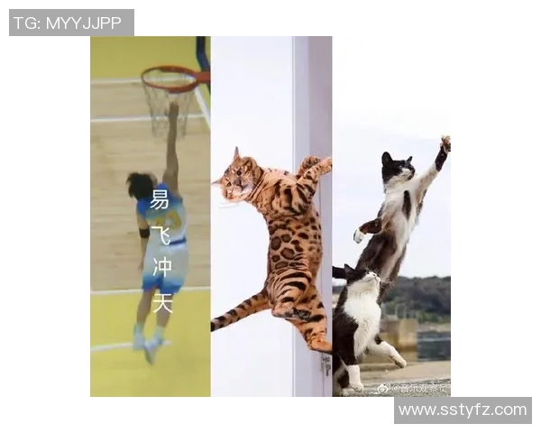 足球明星的猫在球场上大显身手成功进球引发热议 足球明星的猫在球场上大显身手成功进球引发热议